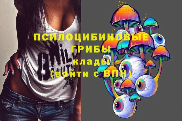 гидра Магас