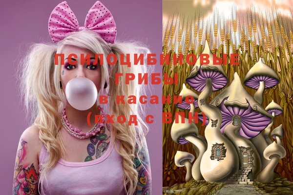 соль курить ск Михайловск