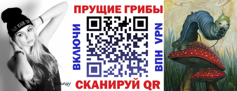 kraken вход  наркотики  Никольское  Псилоцибиновые грибы GOLDEN TEACHER 